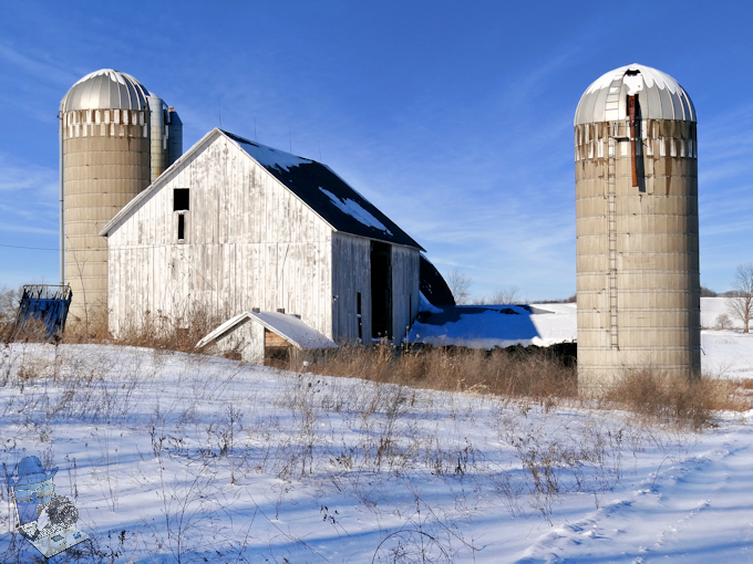 Nippy Farm Scene