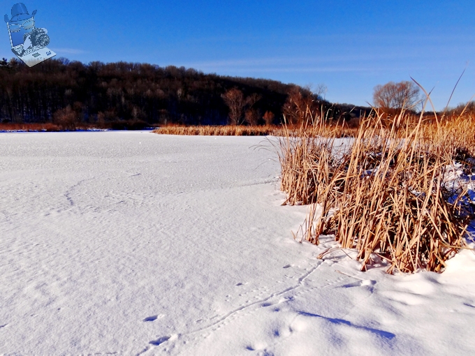 Frozen Lake