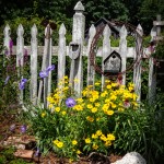 Fence of Color