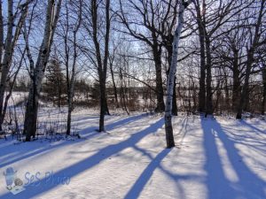 Cold Day for a Hike