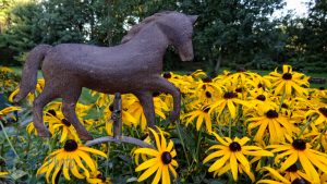 Stroll Through Petals