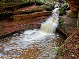 Flowing through Echo Dells