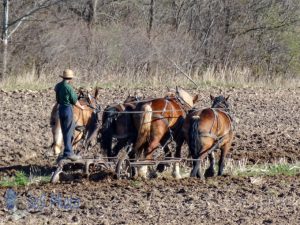 Plowing the Field