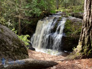 Viewing the Falls