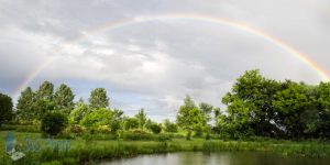 Wet Rainbow