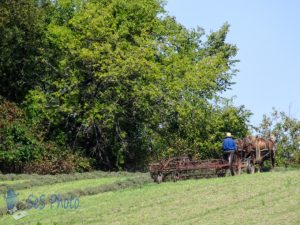 Horse Power Raking