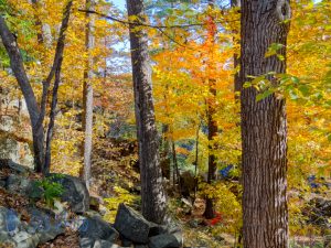 October Displaying Autumn