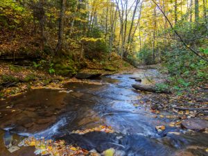 Autumn Creek Walk