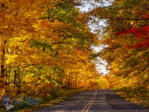 Sunday Autumn Road