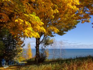 Autumn on Superior's Shore