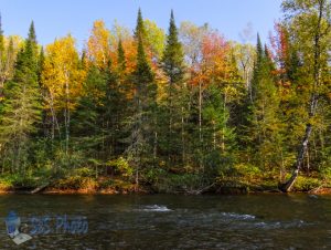 Autumn at the Brule River