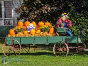 Pumpkin Wagon