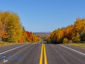 Down, Down, Down the Autumn Road