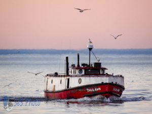 Fishing Boat Returns