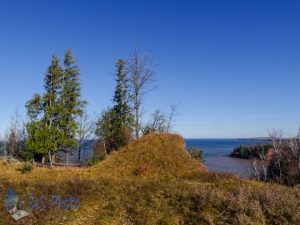 A Picnic Point