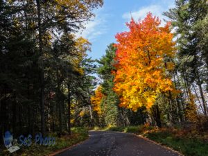 Passing Autumn