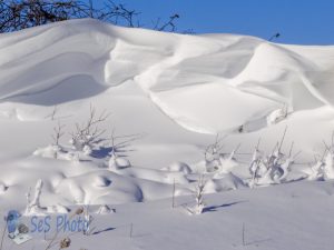 Christmas Eve Snow