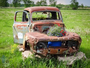 Manly Flower Truck