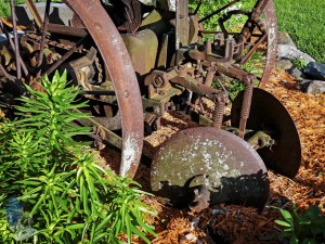 Old Potato Planter