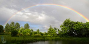 Rainbow Over the Pond