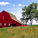 Aged Barn