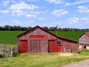 Faded Red Barn