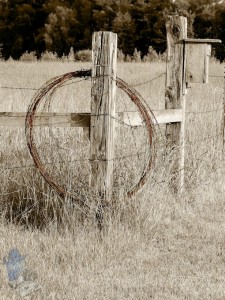 Barbed Wire