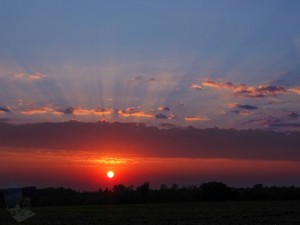 Hot Summer Sunset