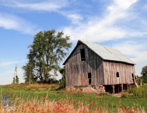 Proud Barn