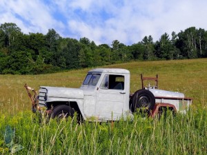 Willys Jeep Truck