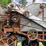 Grain Thresher Belts