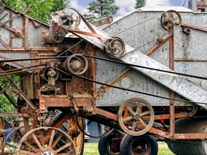 Grain Thresher Belts