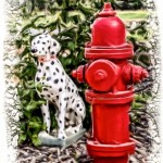 Hydrant Dog