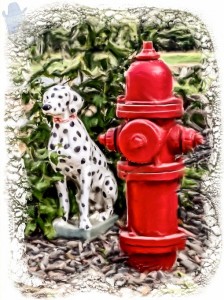 Hydrant Dog