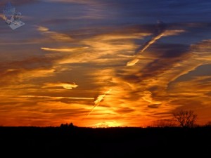 Orange Sunset