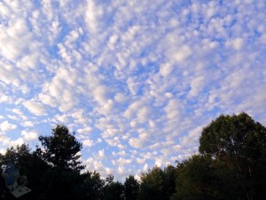 Popcorn Clouds