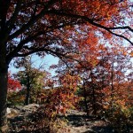 Hilltop of Red