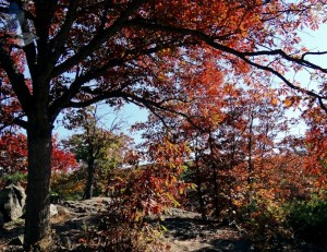 Hilltop of Red