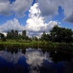 Summer Day at the Pond