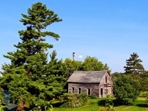 Old Farm House