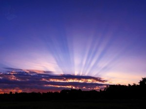 Welcoming Rays