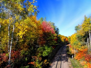 Autumn All Aboard