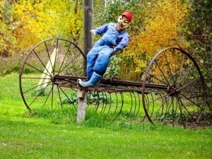 Old Hay Dump Rake