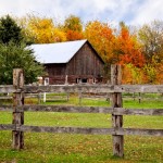 Signs of Autumn