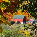 Hidden Barn