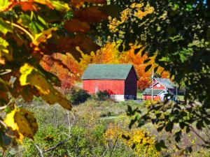 Hidden Barn