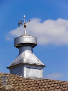 Cow Weather Vane