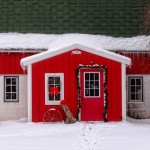 Green, Red and White