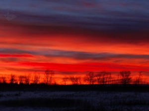 Red Sky Warning