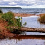 Warmer Day at the Lake